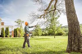 Best Seasonal Cleanup (Spring/Fall)  in Humboldt Hill, CA
