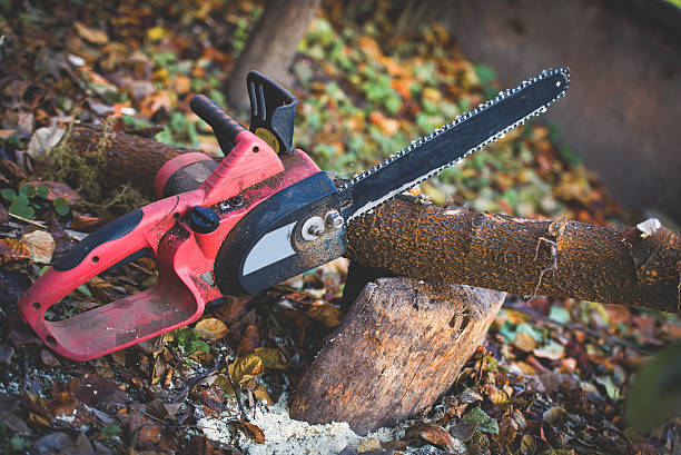 Best Lawn Pest Prevention  in Humboldt Hill, CA